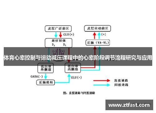 体育心率控制与运动减压课程中的心率阶段调节流程研究与应用