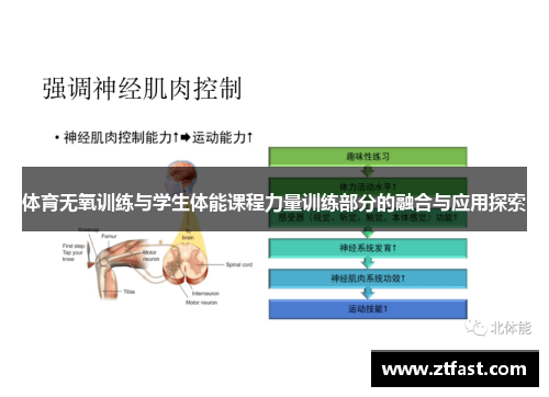 体育无氧训练与学生体能课程力量训练部分的融合与应用探索